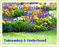 Tuinaanleg & Onderhoud